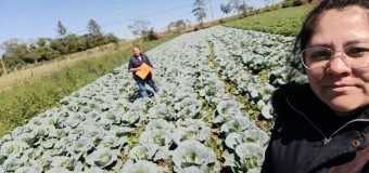 ¡APOYANDO A HORTICULTORES LOCALES!